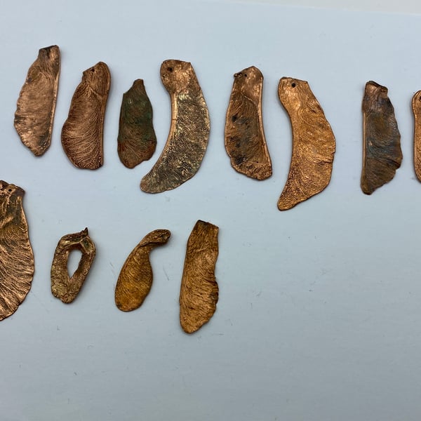 Seconds Sunday, assorted maple and sycamore seeds, job lot