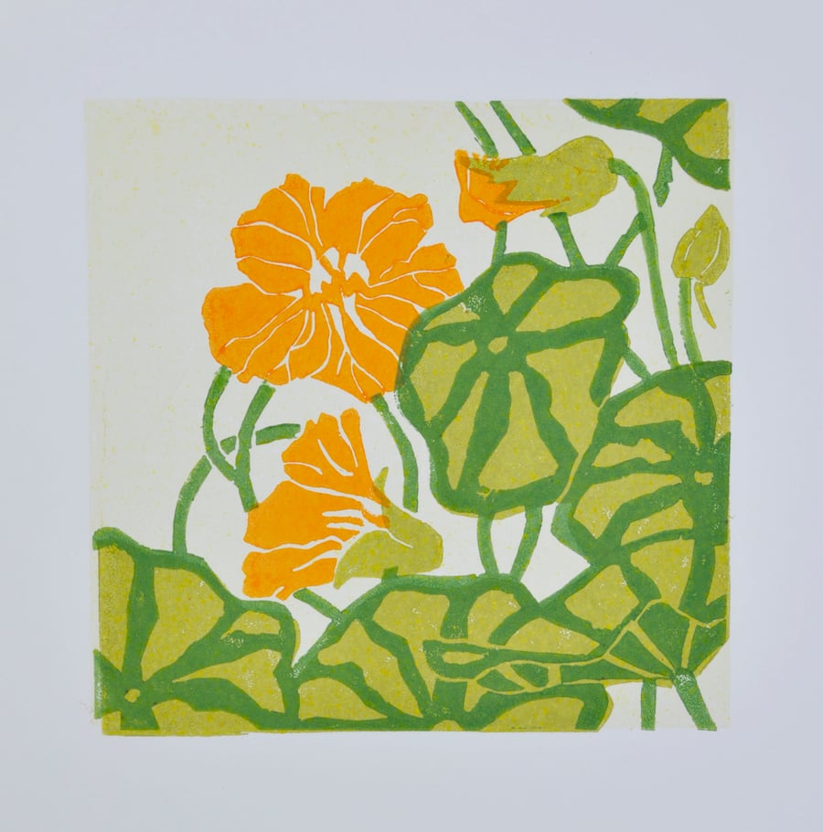 Tropaeolum - Nasturtium  Original Lino print - Limited edition.