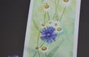 Prints