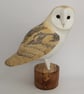 Barn owl - Image 1