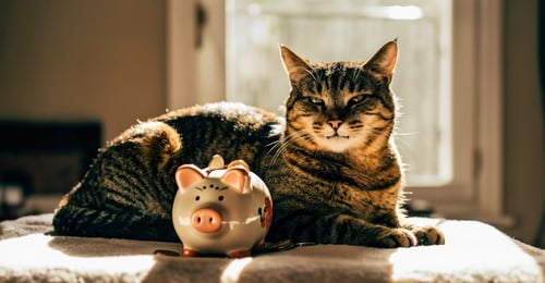 Cat Emergency Fund 2026: How Much to Save and Why It's Essential