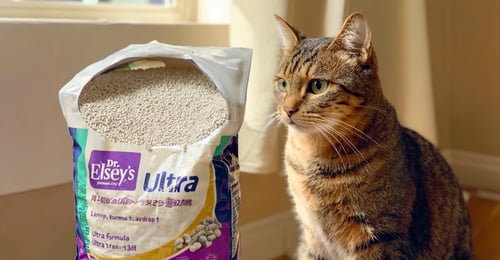 Dr. Elsey's Cat Litter Review 2026: Premium Clay Performance Tested