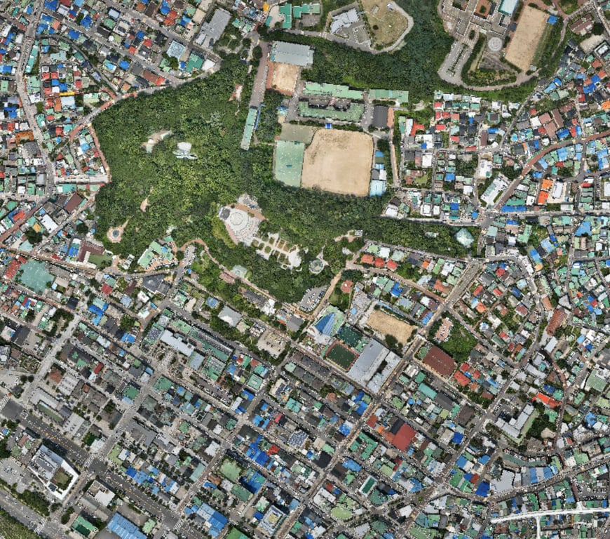 정사영상 (Orthomosaic)