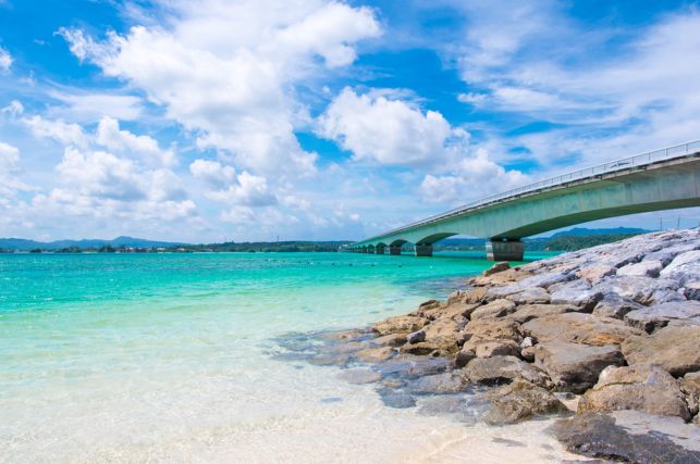 住所：沖縄県国頭郡今帰仁村古宇利