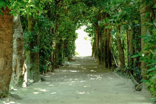 住所：沖縄県国頭郡本部町備瀬389