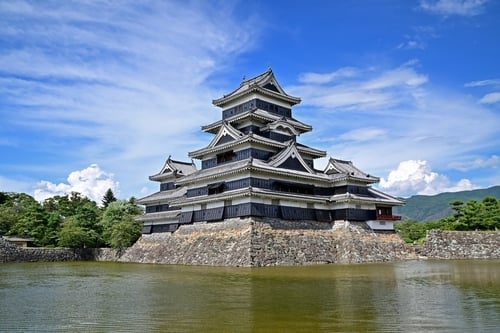 shutterstock_2217669813.jpg