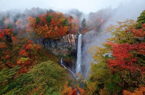 Copy of shutterstock_2316827005.jpg