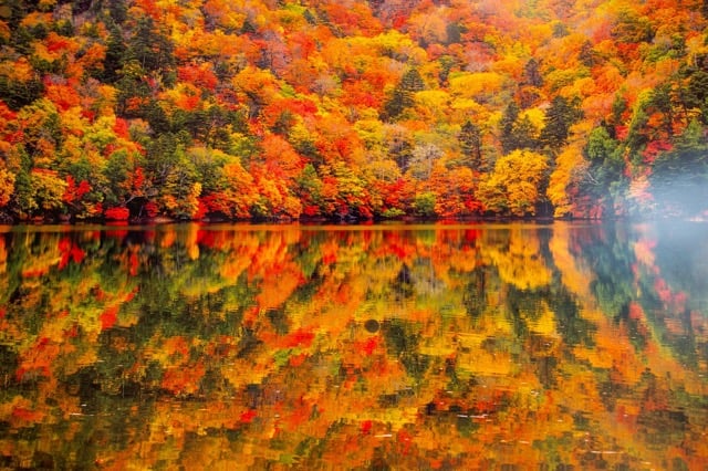 Copy of shutterstock_2349018201 (middle).jpeg