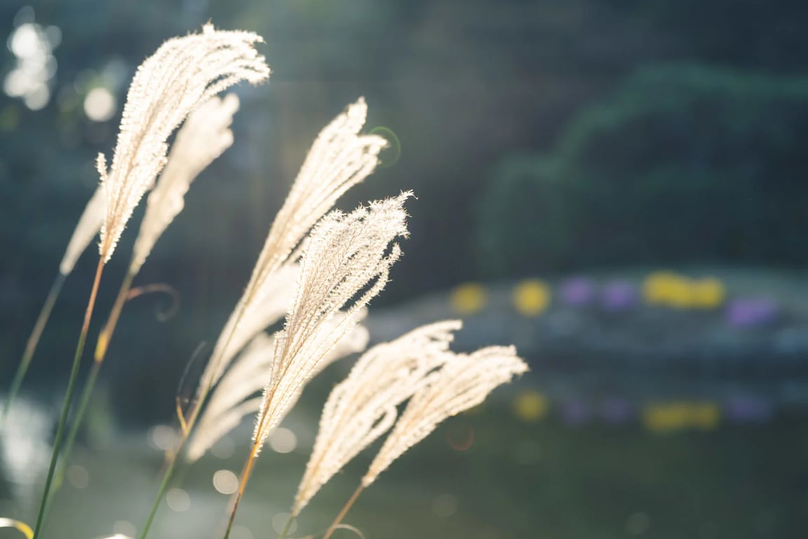 haro20211120-A7305376_TP_V.jpg.webp
