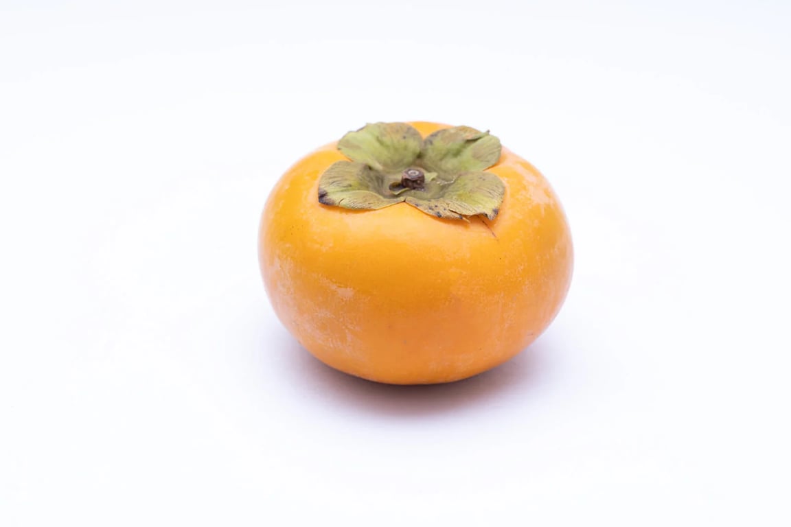 kaki458A9325_TP_V.jpg.webp
