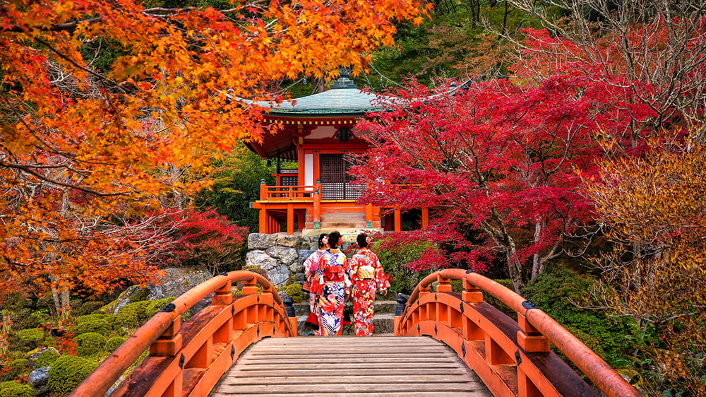 Copy of shutterstock_1242243004.jpg