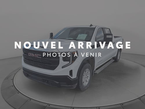 GMC Sierra 1500 Pro 2022
