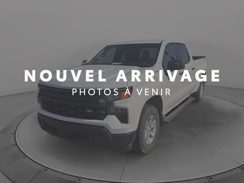 Chevrolet Silverado 1500 Work Truck 2023