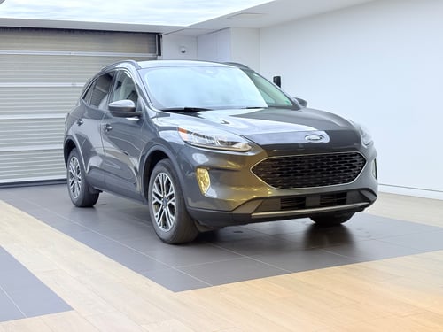 Ford Escape null 2020
