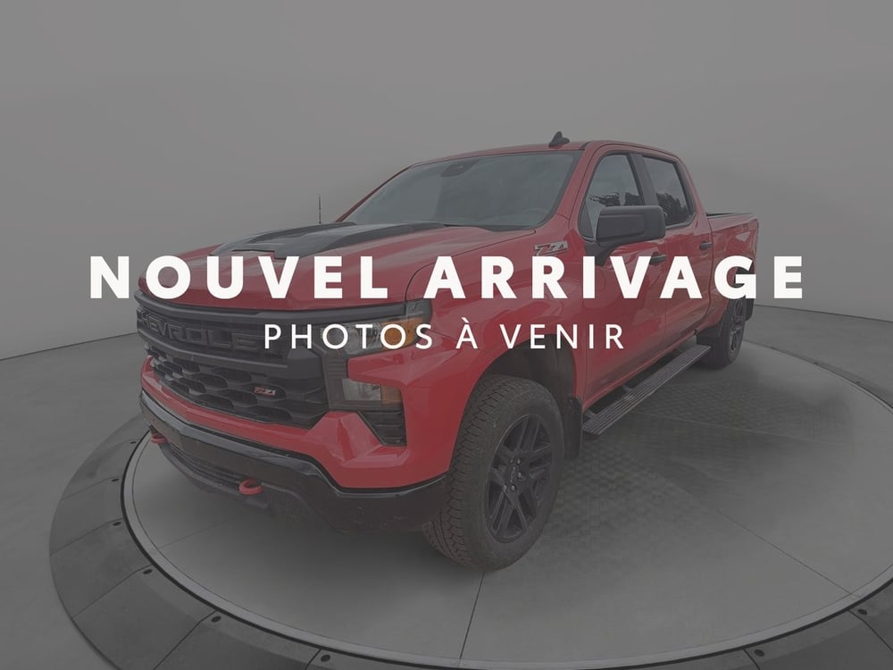 Chevrolet Silverado 1500 2024 usagé à vendre (D6510A)