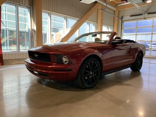 Ford Mustang Base 2007
