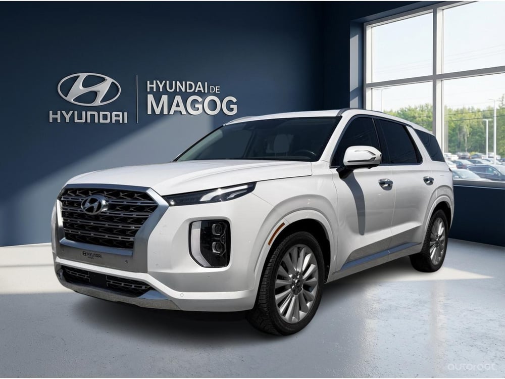 Hyundai Palisade 2020 usagé à vendre (T0159A)