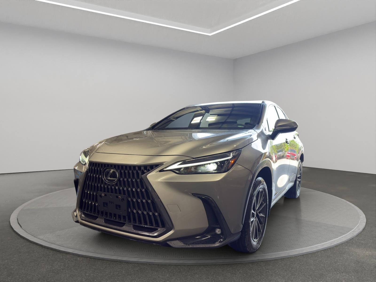 2023 Lexus nx-series