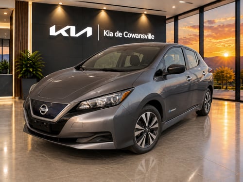 Nissan Leaf S 2019