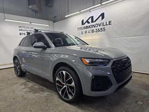 Audi SQ5 Technik 2022