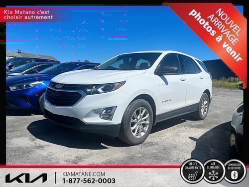 Chevrolet Equinox LS 2019