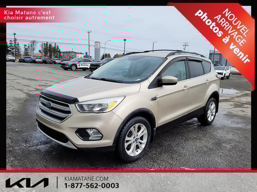Ford Escape SE 2017