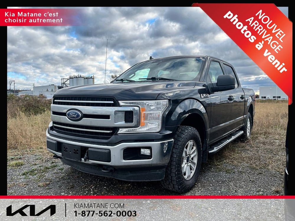 Ford F-150 2019 used for sale (U1339)