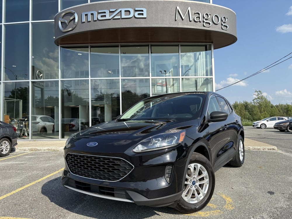 Ford Escape 2022 usagé à vendre (MAM00633)
