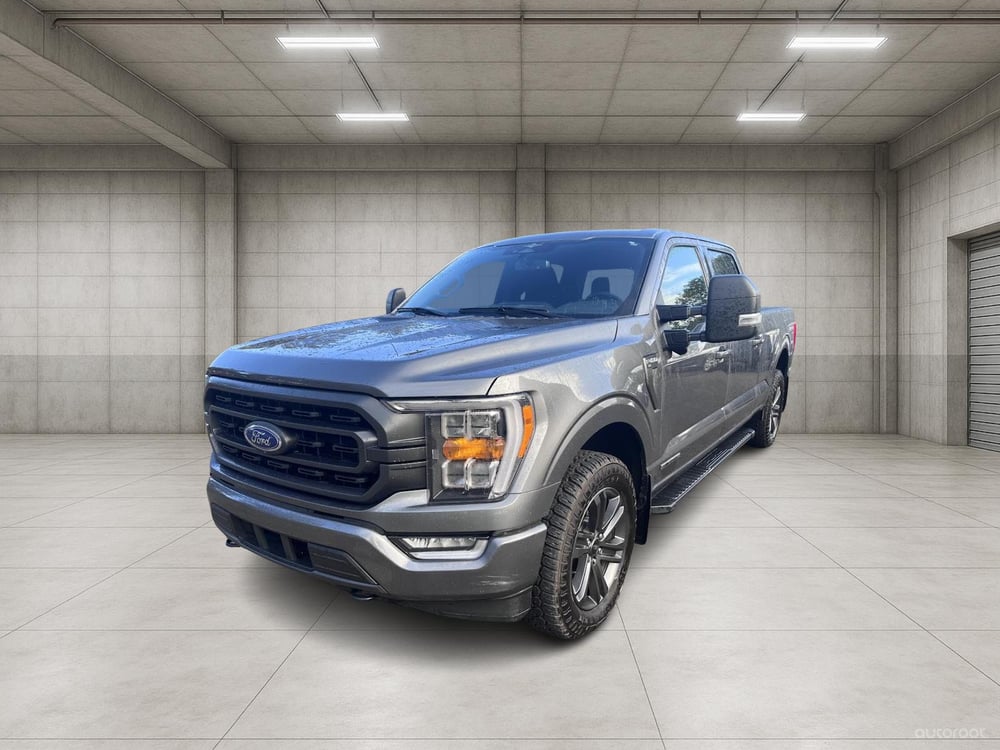 Ford F-150 2023 used for sale (25201A)