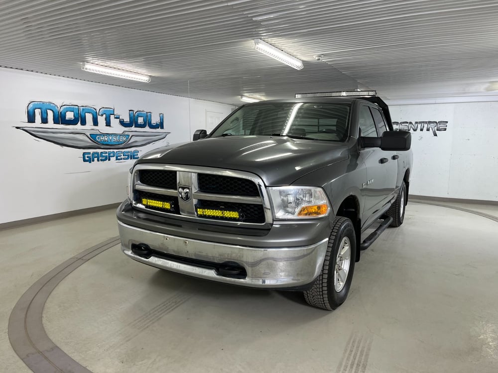Dodge Ram 1500 2009 used for sale (22223C)
