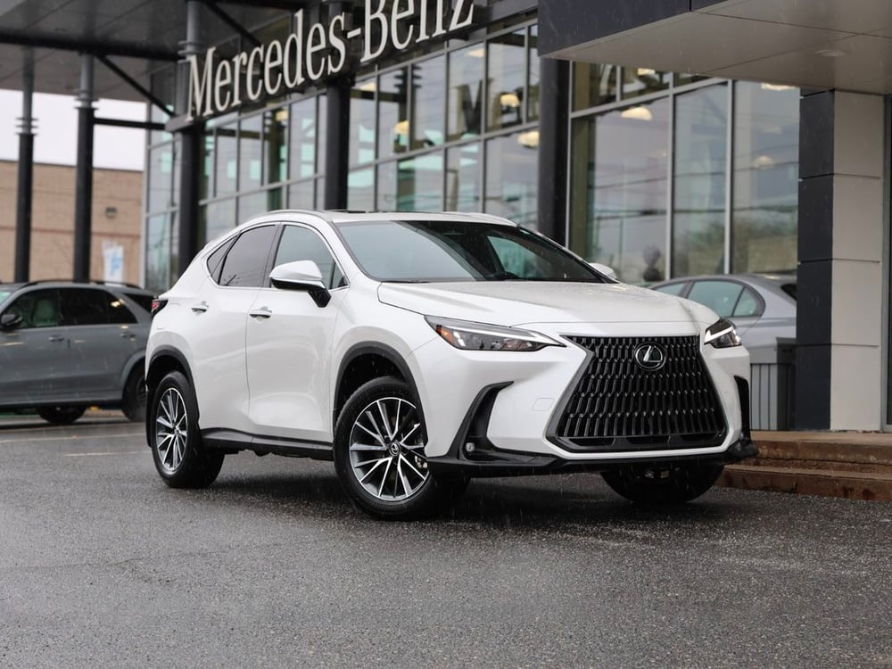 Lexus NX 2025 usagé à vendre (MBS260093A)