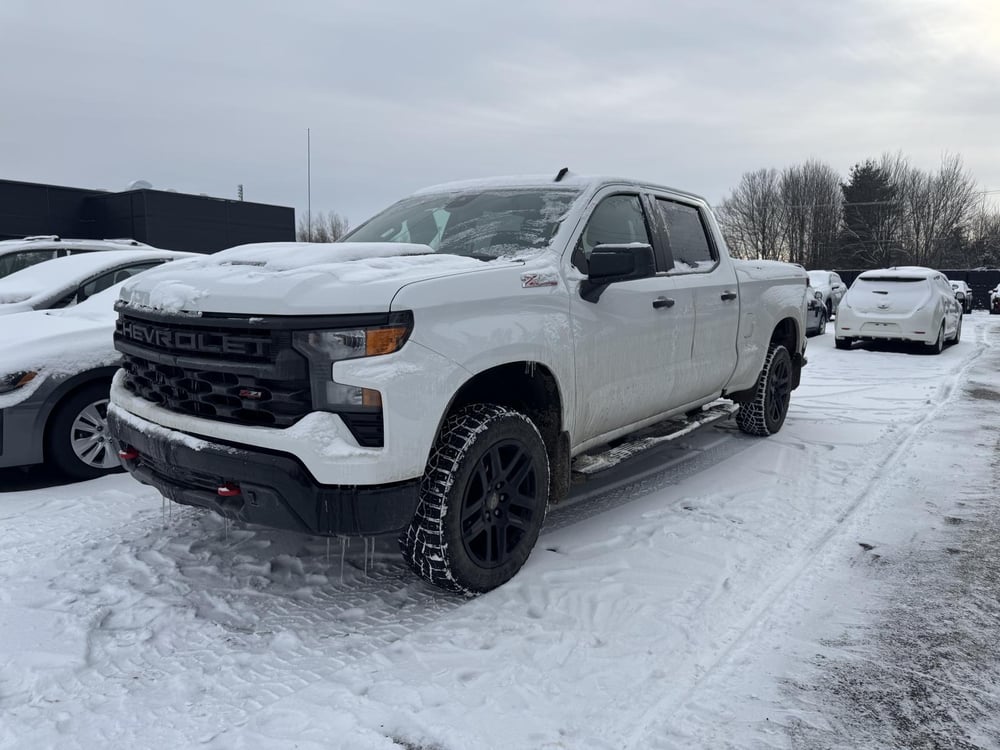 Chevrolet Silverado 1500 2024 used for sale (NIG-00200)