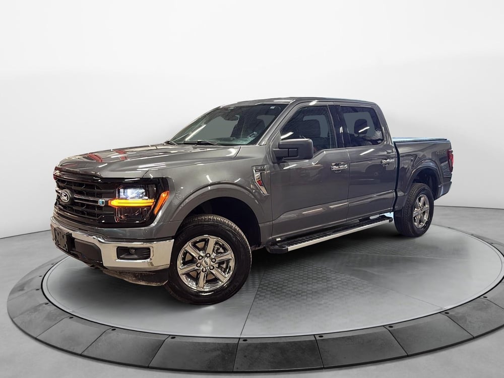 Ford F150 2025 usagé à vendre (NIG-00383)