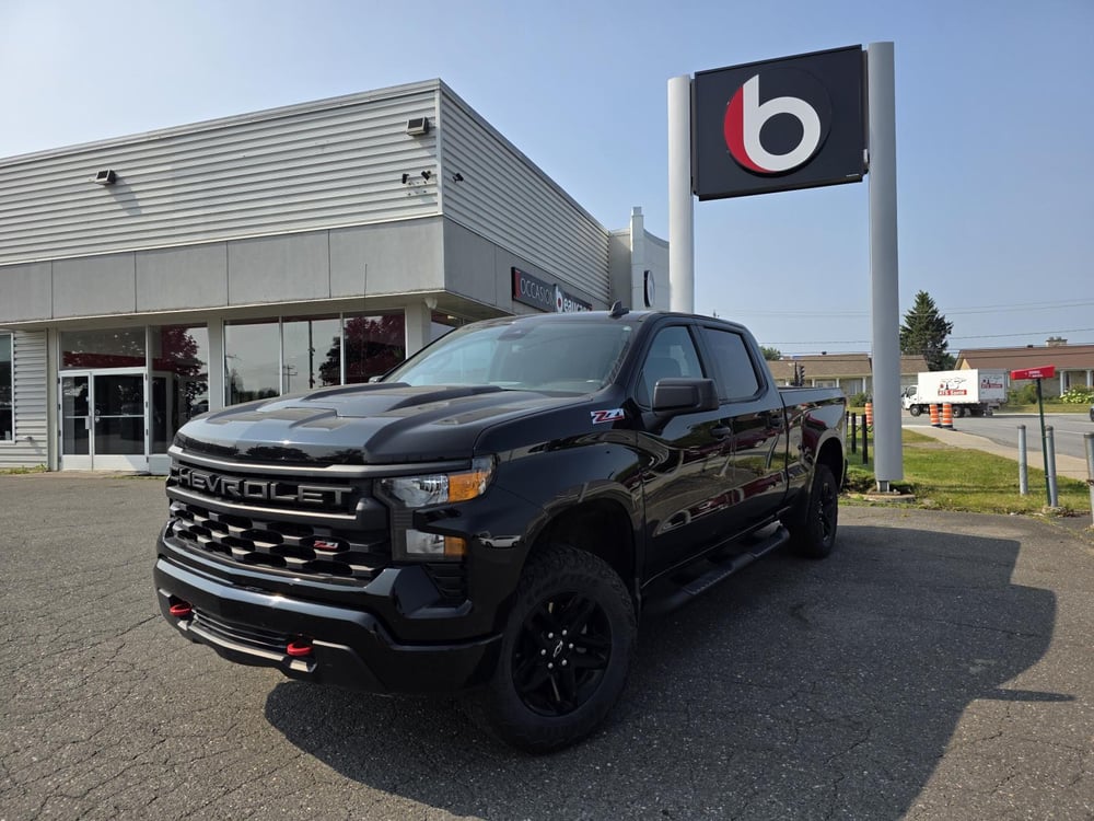 Chevrolet Silverado 1500 2023 used for sale (OCD01577)
