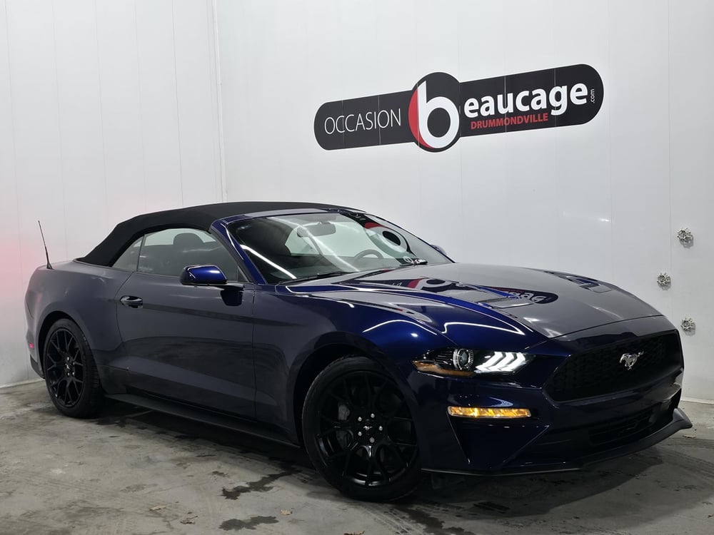 Ford Mustang 2019 used for sale (OCD03043)