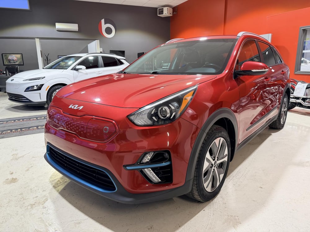 Kia Niro 2020 used for sale (OCG02768)
