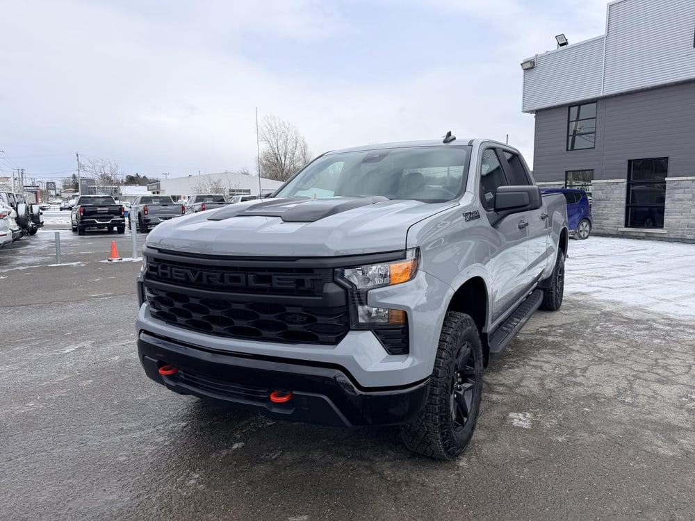 Chevrolet Silverado 1500 2024 used for sale (OCG02875)