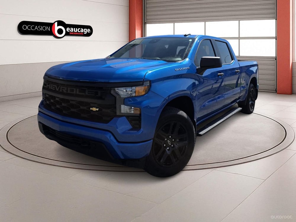 Chevrolet Silverado 1500 2024 used for sale (OCS01000)