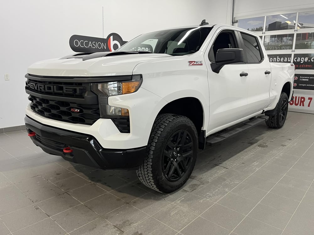 Chevrolet Silverado 1500 2023 used for sale (OCS01079)