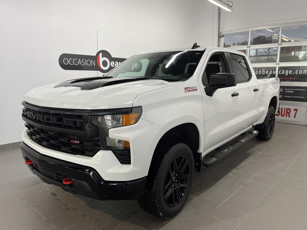 Chevrolet Silverado 1500 2023 used for sale (OCS02456A)