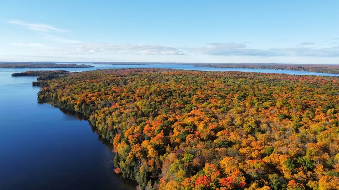 Aerial view of autumn forest and lakes in the Kawarthas