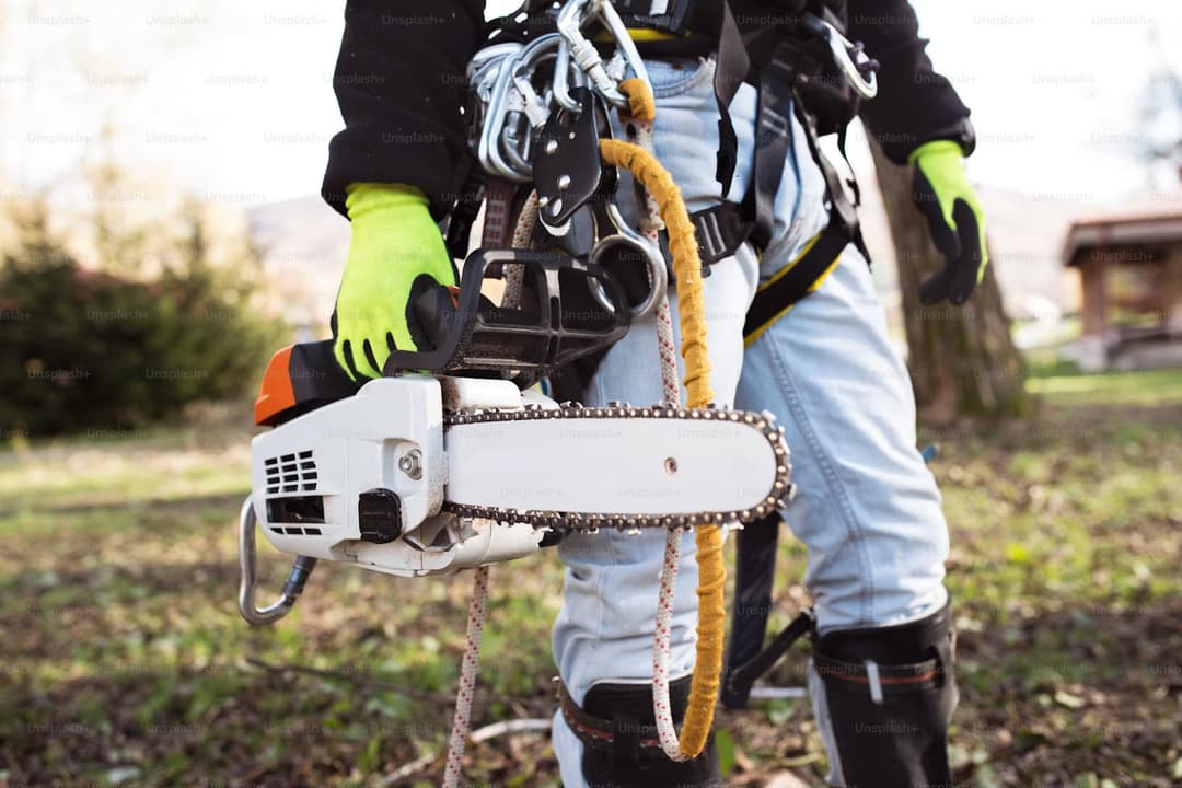 Timberfell arborist with a chainsaw