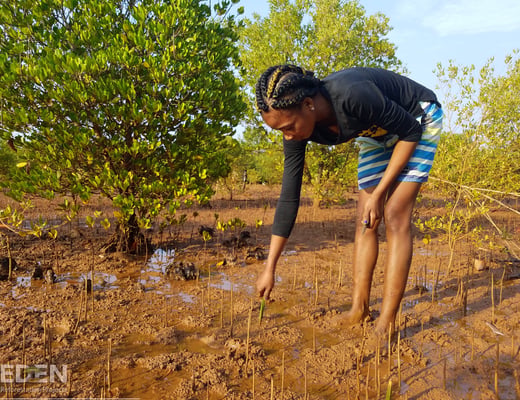 Eden Reforestation Projects Pflanzstandort, Foto 1 von 12