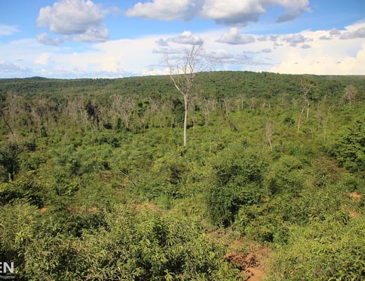 Eden Reforestation Projects Pflanzstandort, Foto 3 von 12
