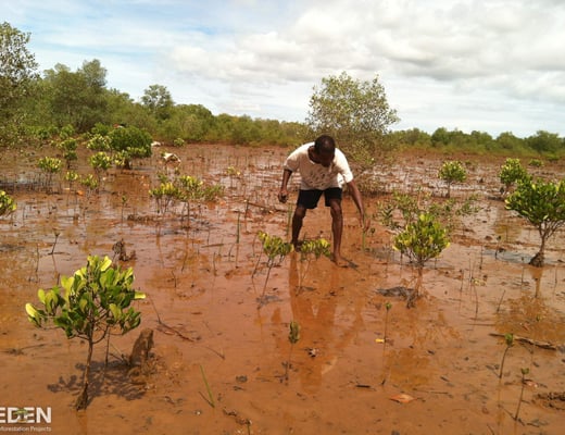 Eden Reforestation Projects Pflanzstandort, Foto 11 von 12