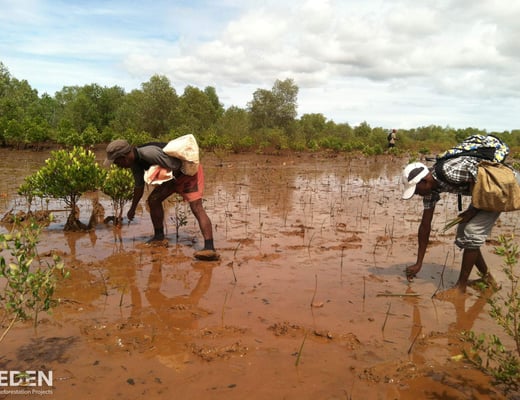 Eden Reforestation Projects Pflanzstandort, Foto 10 von 12