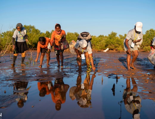 Eden Reforestation Projects Pflanzstandort, Foto 8 von 12