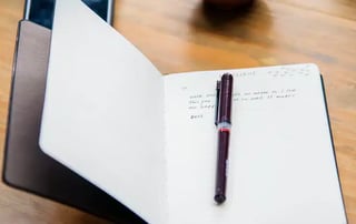 The Wife's Diary...
