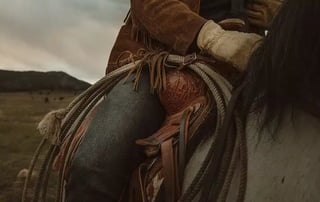 A Cowboy Named Fred