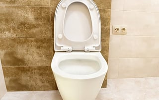 Leaving the Toilet Seat Up...